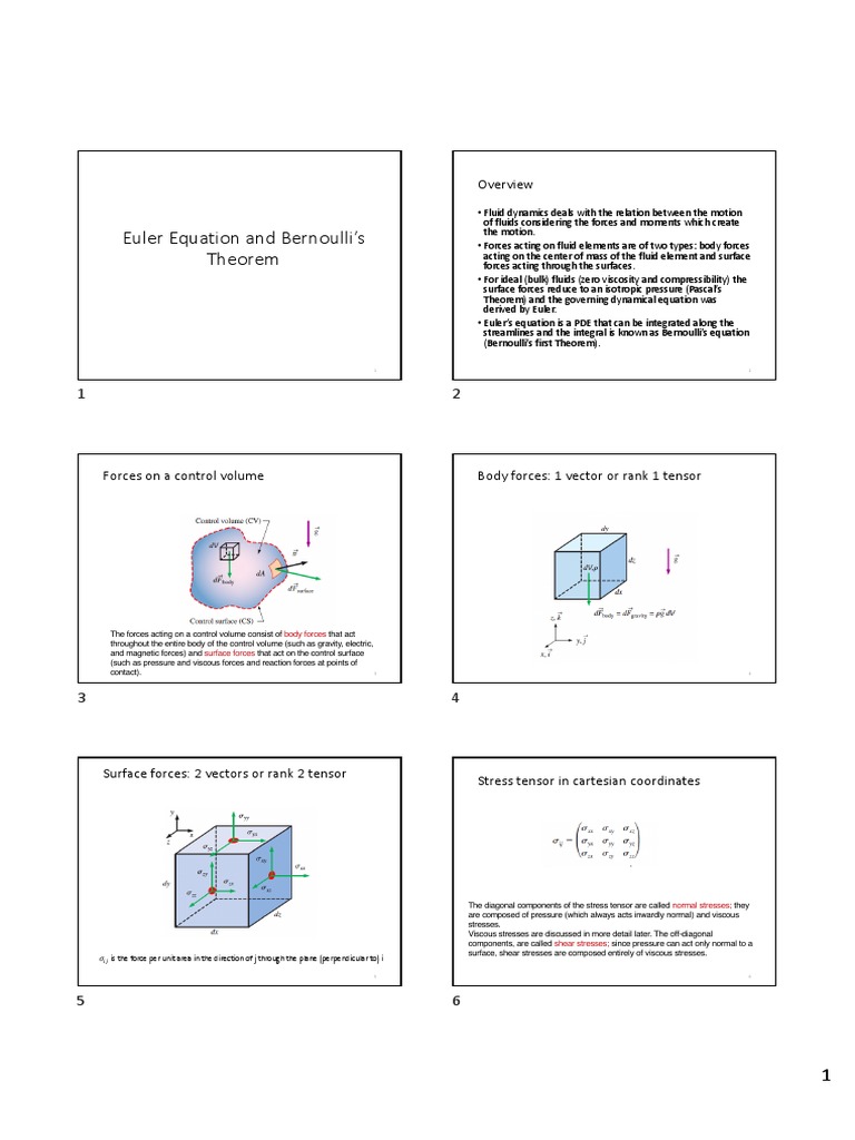Euler Equation and Bernoulli's Theorem PDF Fluid Dynamics Stress