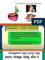 Ang Ating Limang Pandama o Sense Organs
