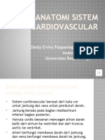 Anatomi Sistem Cardiovascular