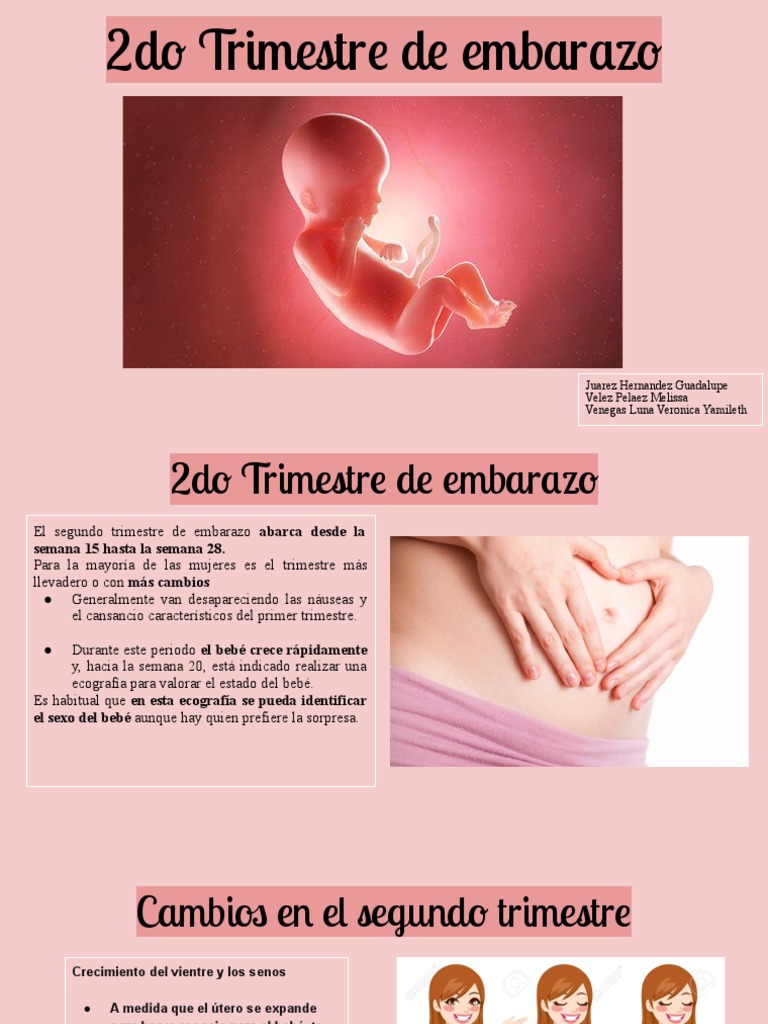2do Trimestre de Embarazo | PDF | El embarazo | Tejido adiposo