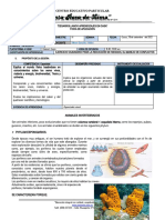 XII Ficha de Aplicación - 1ro