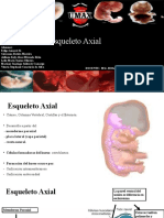 Esqueleto Axial - Embriologia - OfICIAL