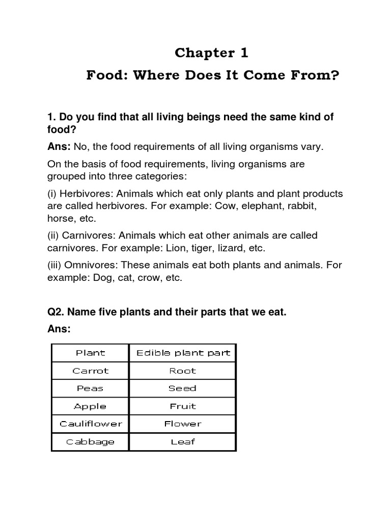 Sources of Our Food: Plants and Animals | PDF | Foods | Honey