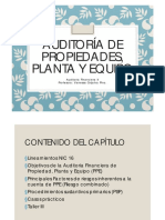 Clase III Auditoría de PPE PDF