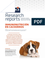 RR Inmunonutricin Cachorros