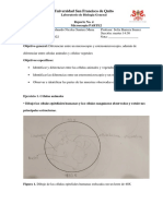 Reporte Lab Biología General Nº4 Cód-330574 Eduardo Nicolas Suntaxi Mena