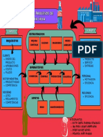 Mapa de Procesos de Coca Cola