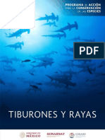 PACE_Tiburones_y_Rayas