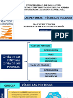 5.vía de Las Pentosas - Vía de Los Polioles