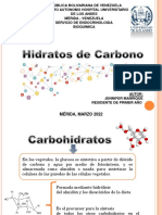 1.Hidratos de carbono