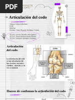 Articulaciones y Ligamentos Del Codo | PDF | Codo | Sistema ...