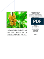 Labores de Parcela y Sus Efectos en La Calidad Del Banano