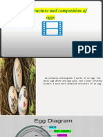 Physical Structure and Composition of Eggs