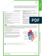 Circulatory System: Big Picture