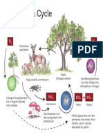 NitrogenCycle-1