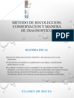 Metodo de Recoleccion, Conservacion y Manera De