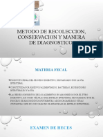 Metodo de Recoleccion, Conservacion y Manera de