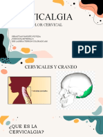 Cervicalgia Dolor Cervical