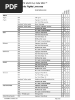 FWC2022 Media Rights Overview