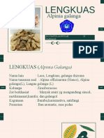 Simplisia Lengkuas