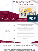 Programa de Capacitacion y Desarrollo Organizacional