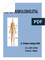 Musculoskeletal Dr. Christian L