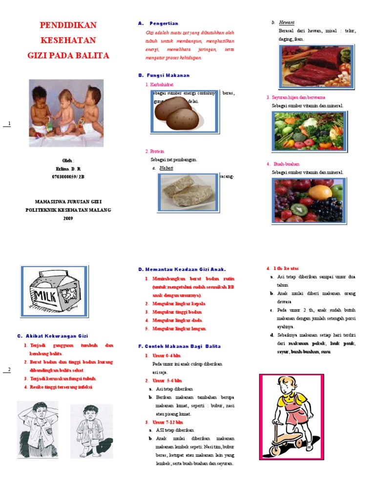 Gizi Balita Panduan Mahasiswa Pdf Kesehatan Holistik
