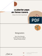 Cómo Plantar Papa de Forma Casera