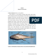 Adoc - Pub - Gambar 1morfologi Ikan Gulamah Johnius Trachycepha