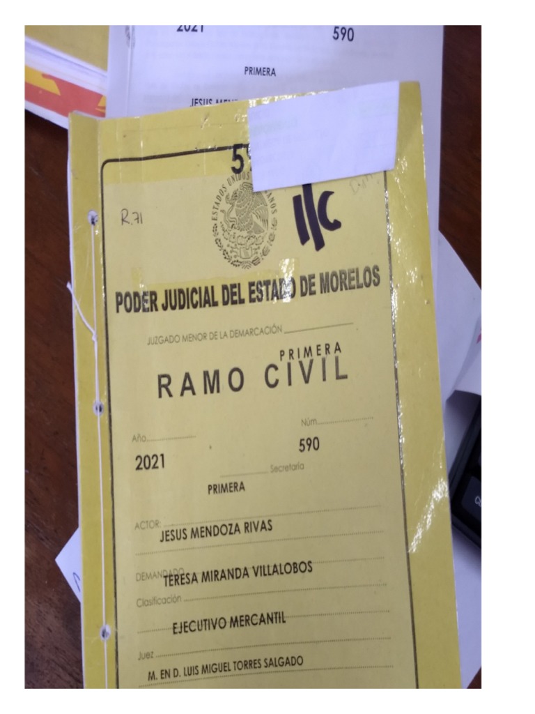 Guía Práctica del Pagaré y Endoso | PDF | Cheque | Justicia