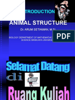 Introduction To Animal Structure