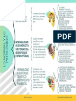 4 Cuadro Sinóptico