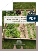Dossier Asociaciones de Cultivos y Plantas