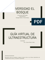 Guia Virtual Ultraestructura-I-Semestre-Odontologia-2020