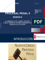 Sesión 6 - Derecho Procesal Penal II