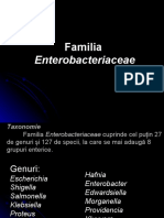 Enterobacteriaceae22 70966