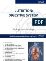 Unit 3. Digestive System