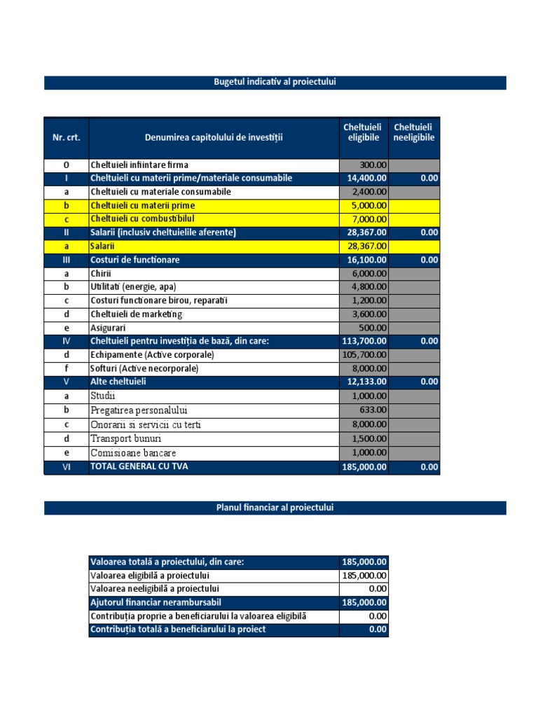 Template Buget Si Proiectii Financiare | PDF