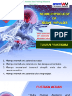 Slide Neurofisiologi