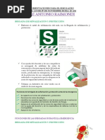 Brigada Escolares Funciones | PDF | Primeros auxilios | Salón de clases