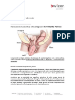 1643475178023anatomia e Fisiologia Do Pavimento Pelvico