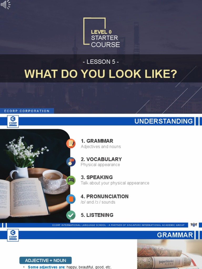 What Do You Look Like | PDF | Adjective | Noun
