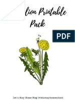 Dandelion Printable Pack Secured