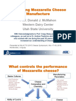 Optimizing Mozzarella INLACTIS2015 B