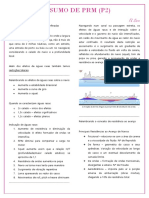 Resumo Pipo PRM P2