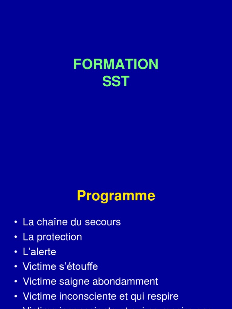 Formation SST : Programme et Techniques | PDF