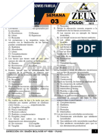 Semana 03 - Bienes y Servicios