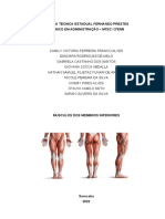 Músculos Dos Membros Inferiores - 2ADM