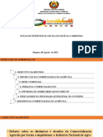 Notas de Intervensao de S.excia o Mic e Dpics 10.08.2022