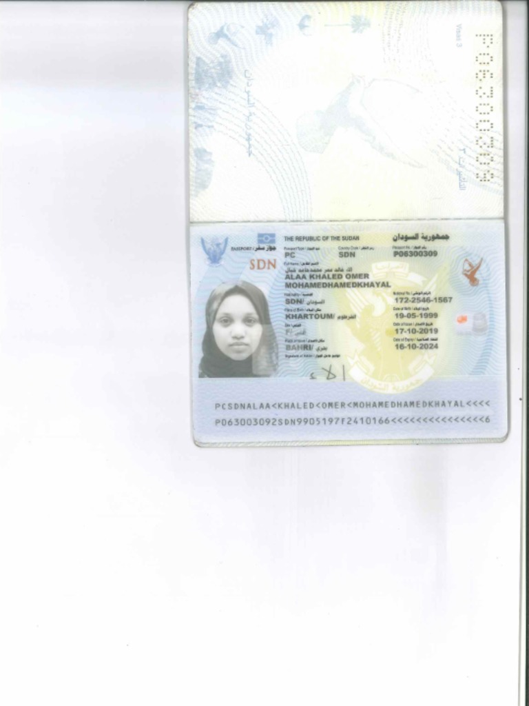 Alaa Khayal Passport | PDF